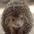 Donna Moore Horky's profile image