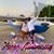 Stephenie Mayes's profile image