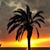 Carolann Marzocchi's profile image