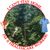 Carla Messler's profile image