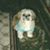Dora Lupe Velarde Sarmiento's profile image