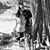 Michelle Turner Stanfield's profile image