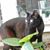 Brenda Wolfson Mendes's profile image