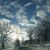 Tami Schrebe Montney's profile image