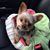 Kayla Spurlock's profile image