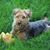 Lori Ann's profile image