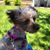 Amanda Dunbar's profile image