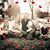 Patricia Anne Rowe's profile image