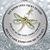 Joanne Dirzuweit Squires's profile image