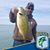 Jim Castiglione's profile image