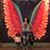 Nancy Rodriguez's profile image