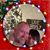 Rob Jennings's profile image