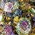 Judy Papanek Smith's profile image