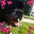 Crystal Seng's profile image