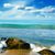 Carolyn Mathi Mathison's profile image