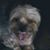 Jacci Tvrdik's profile image