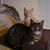 Andy Strickler's profile image