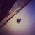 Danielle Maguire's profile image
