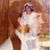 David Prevette's profile image