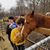 Kristol Wickert's profile image