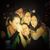 MaryJo Gullage's profile image
