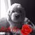 Tina Thornton's profile image