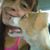 Cindi D Clehm's profile image