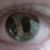 Douglas David Goins Jr's profile image