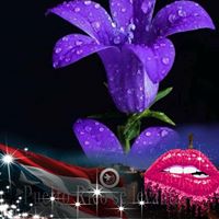 Isaura Perez's profile image