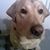 Sharon Sanchez's profile image