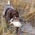 Craig Blakely's profile image