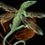 Deb Shafts's profile image