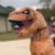 NoraAnn Johnson's profile image