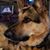Cristine McNear Metts's profile image