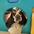 Debra Lowery's profile image