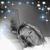 Grace Ensey's profile image