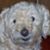 Kathy Bennett's profile image