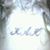 Kate Kelly's profile image