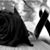 Merygi Barrios's profile image