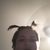 Isaiah Ramirez's profile image