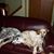 Kathy Labat's profile image