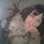 Ta Ru's profile image