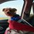 Sylvia Zuniga's profile image