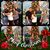Cathy Cosentino Lingruen's profile image