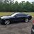Coreyand Wayne Jeffcoat's profile image