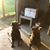 Kathie Elms's profile image