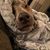 Ashley Thompson's profile image