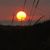 Lorraine Brenda Hammer's profile image