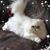 Georgann Stanley's profile image