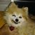 Francine DuPlanti Minnick's profile image